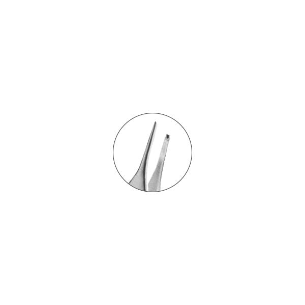 Adson Forceps Teeth 12cm