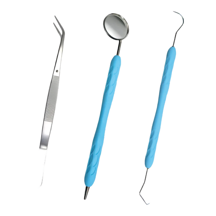 Basic Dental Examination Kit