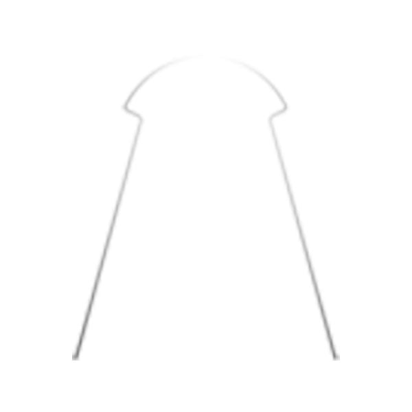 BioLingual Intraoral Archwire