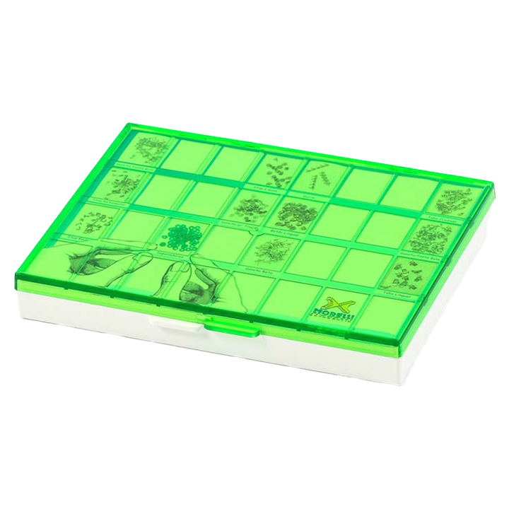 Multiuse Organizer with Lid