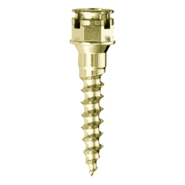 OrthoEasy Pins Titanium Self-Drilling Mini Implant