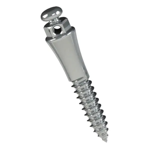 Stainless Steel Orthodontic Mini Implant