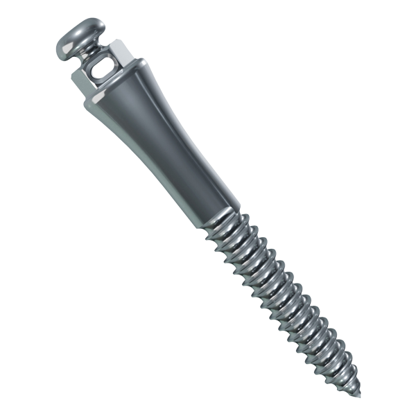 🎁 Stainless Steel Through Hole Self-Drilling Mini Implant (100% off)