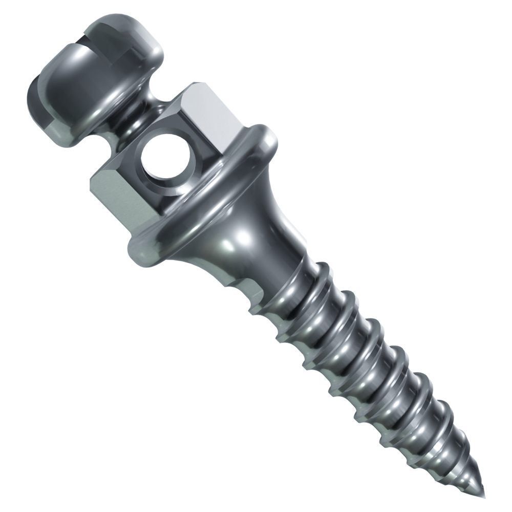 Titanium Bracket Head Clockwise Self-Drilling Mini Implant