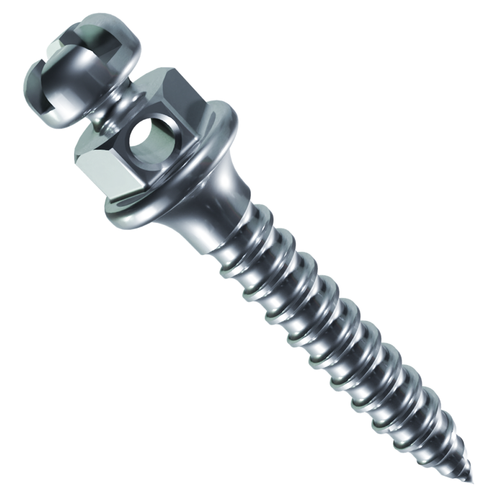 Titanium Bracket Head Clockwise Self-Drilling Mini Implant