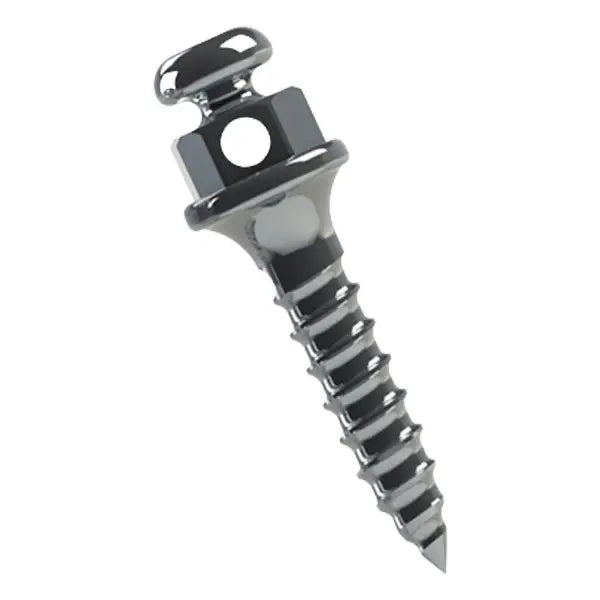🎁 Titanium Button Head Self-Drilling Mini Implant (100% off)