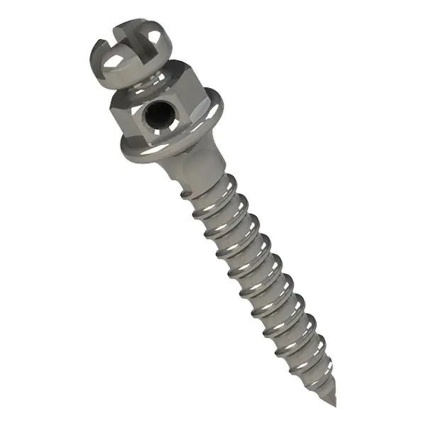 🎁 Titanium Bracket Head Clockwise Self-Drilling Mini Implant (100% off)